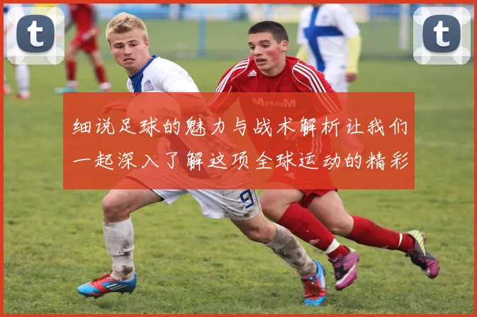 细说足球的魅力与战术解析让我们一起深入了解这项全球运动的精彩世界