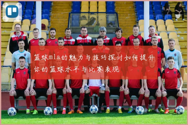 篮球mla的魅力与技巧探讨如何提升你的篮球水平与比赛表现
